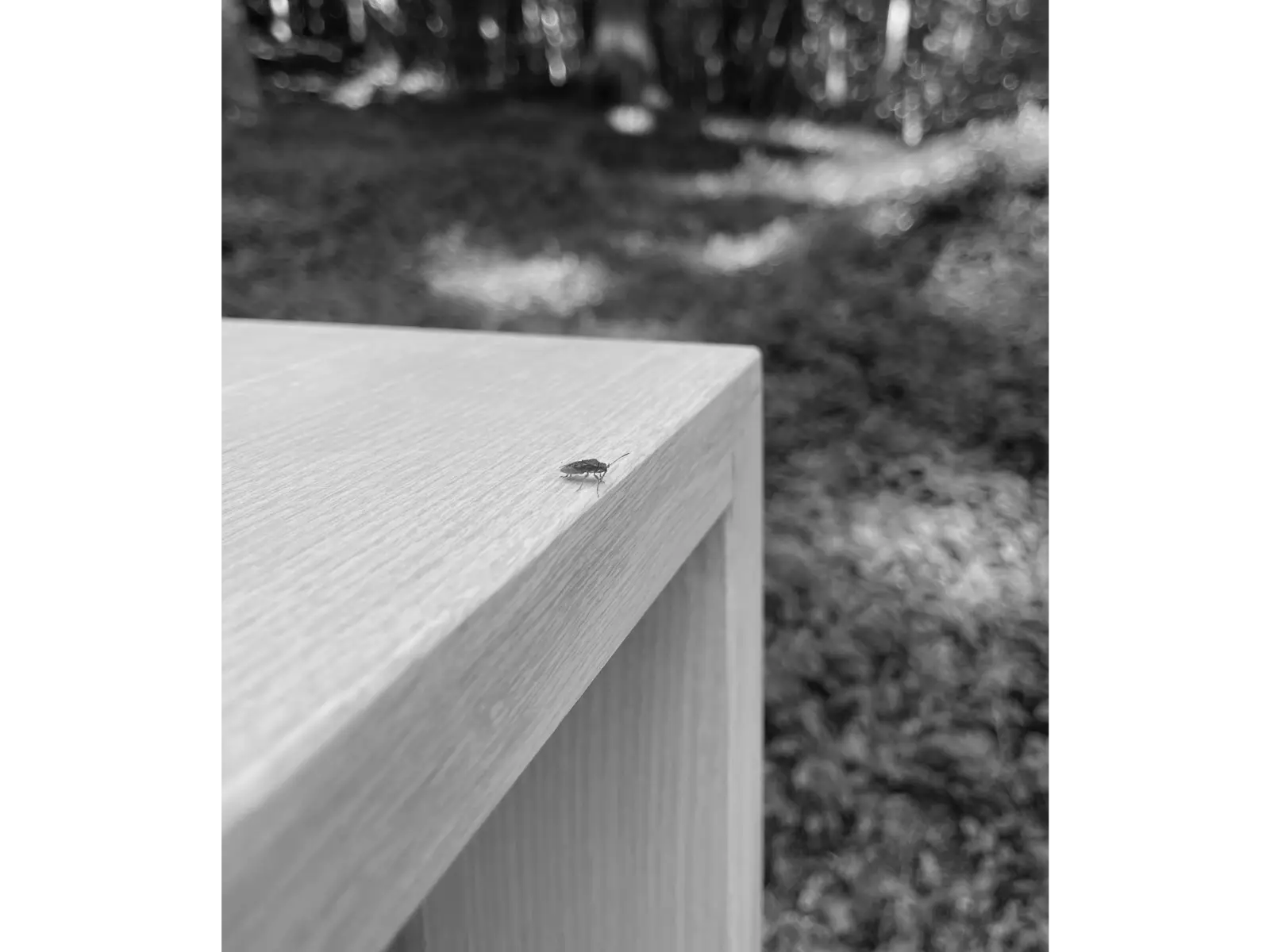 Atelier Uzel_Console04